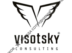 Visotsky Consulting